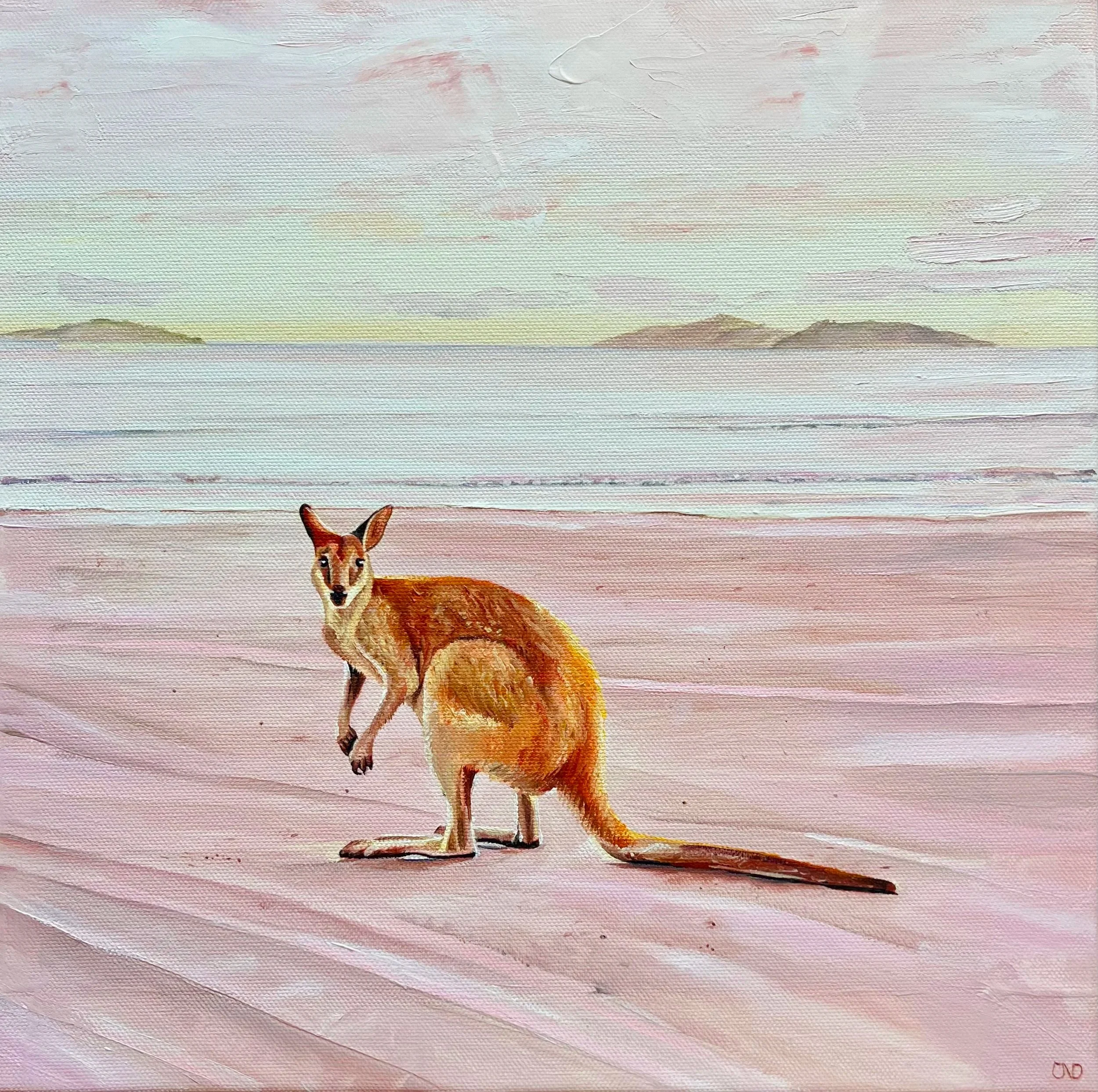 Hamilton Island Kangaroo painting pink