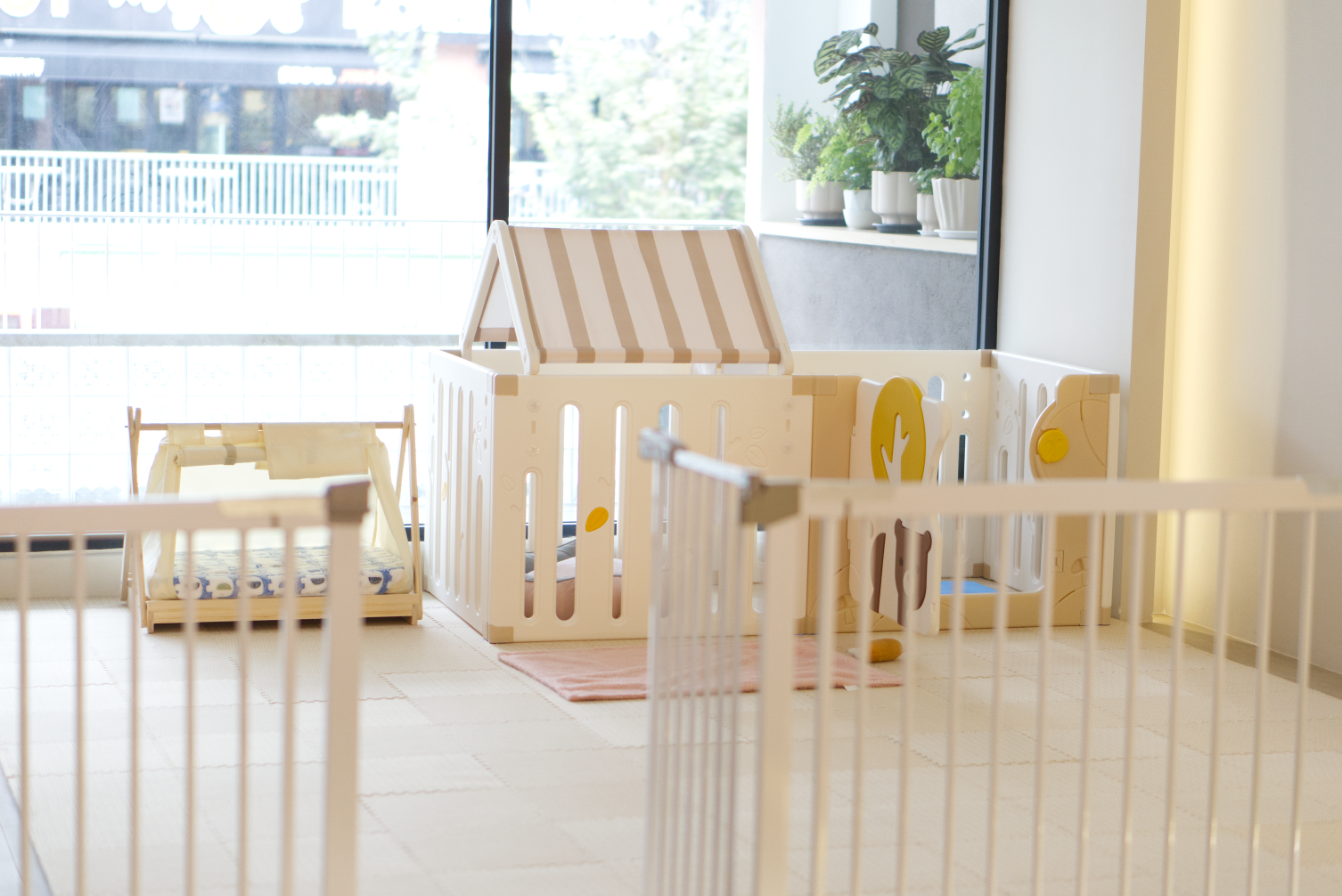 A bright, natural-light-filled play zone at Pet Atas in Kepong, promoting a healthy and cheerful experience for daycare guests.