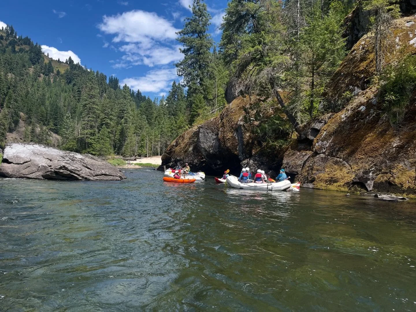 Two ways to ride the river, same epic adventure 🌊🚣&zwj;♂️
Rafts are for the team work, duckies are for the thrill seekers. Which one are you choosing?
&bull;
&bull;
&bull;
#selwayriver #idahorafting #raftvsduckies #remotewildernessadventure #thrill