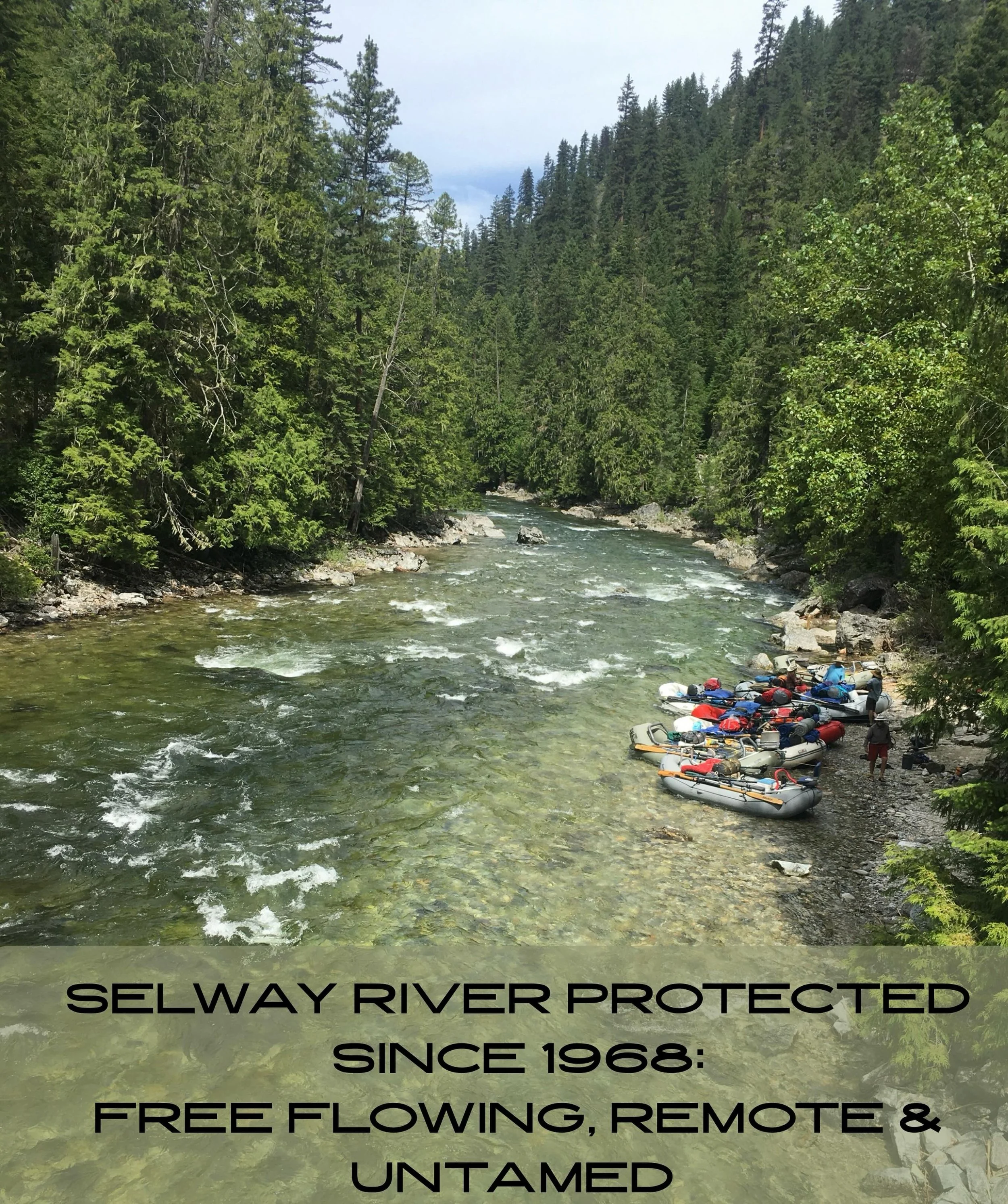 The Selway River: One of the OG Wild &amp; Scenic Rivers since 1968🌊

Join us to see one of the first eight rivers protected under the Wild &amp; Scenic Rivers Act of 1968 that was put in place to keep rivers preserved exactly how nature intended!! 