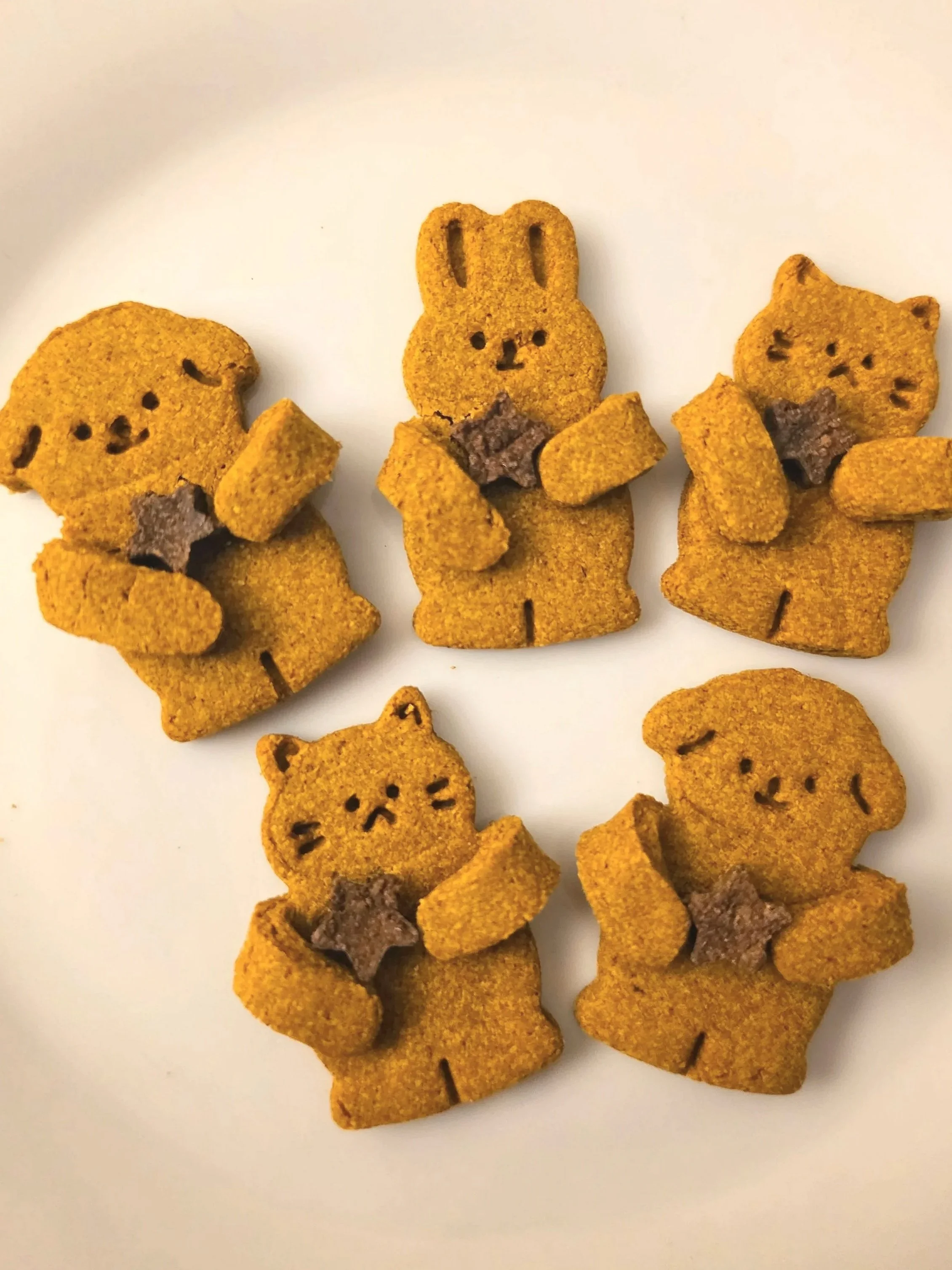 🥩 Liver Lover Biscuits