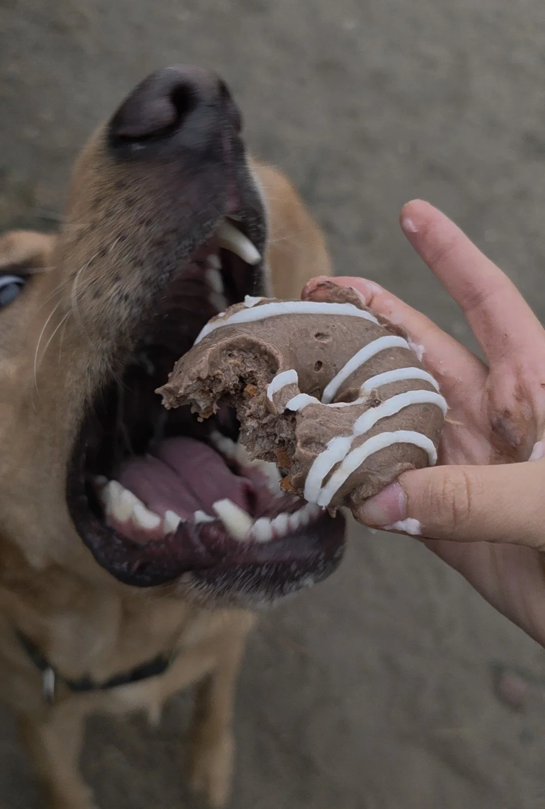 mm donut (2).jpg