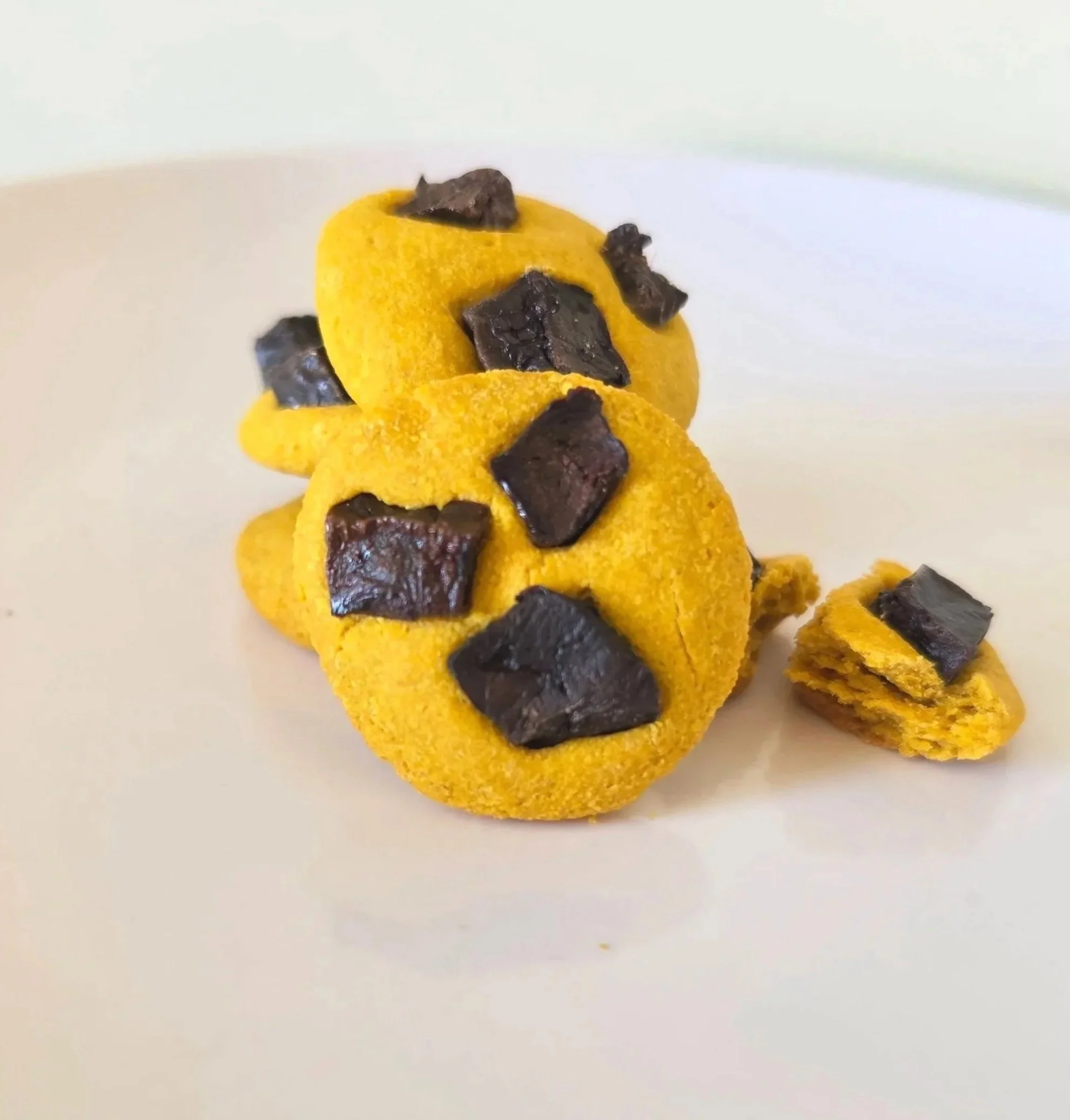 chocochip%252Bmain.jpg