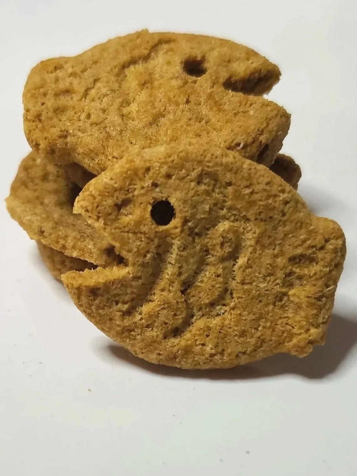 fiiiisi.jpg