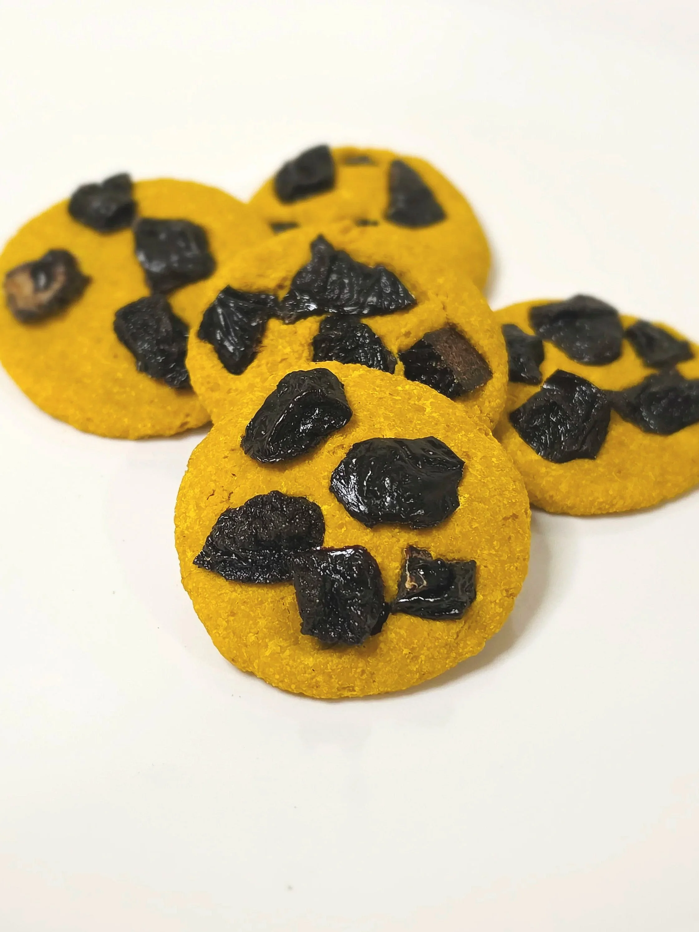 chchip.jpg