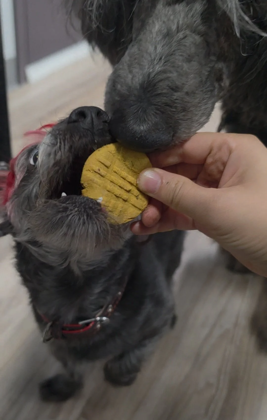 pb cookie (2).jpg