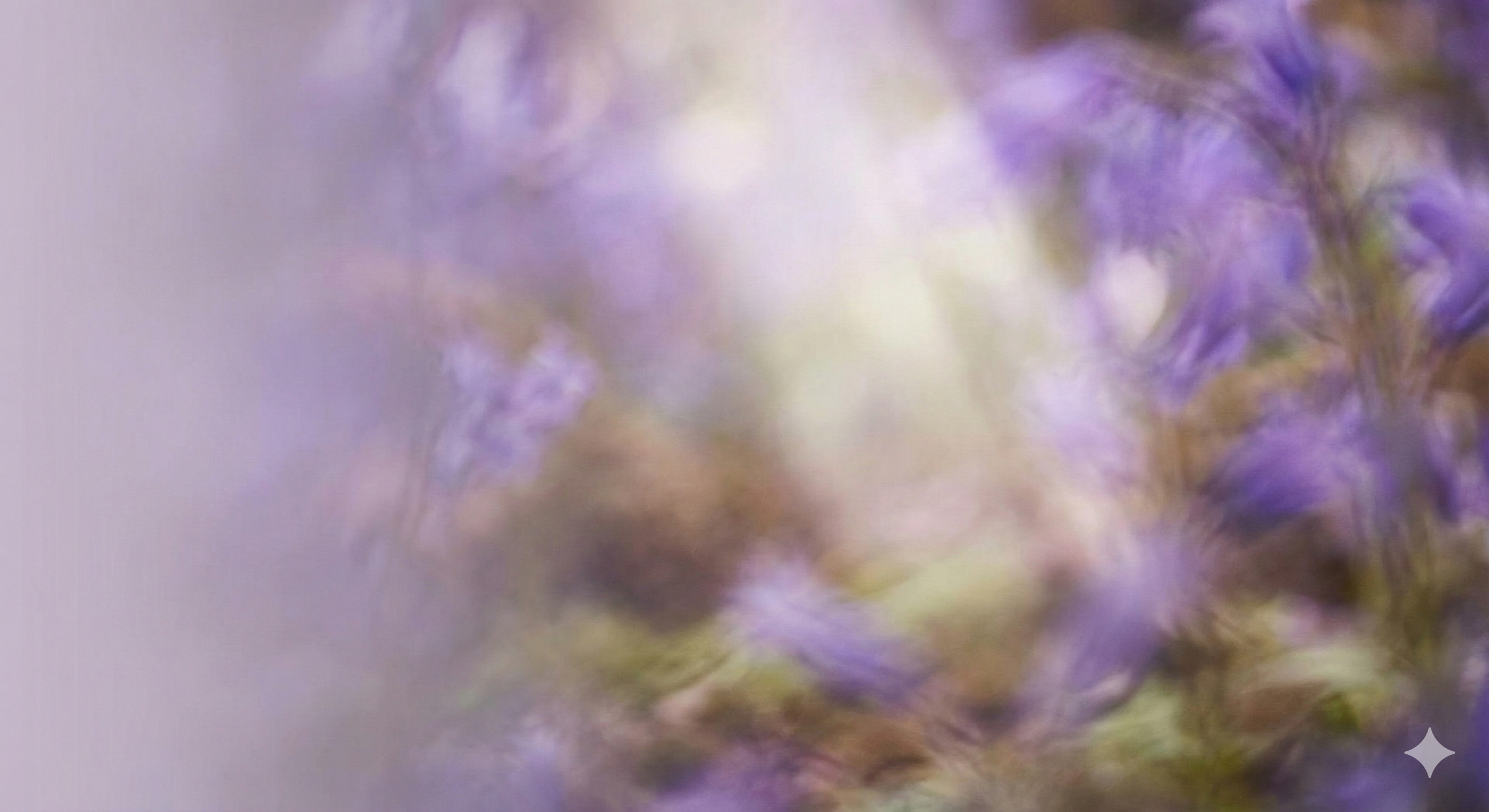 Close-up of purple flowers with soft focus and blurred background.