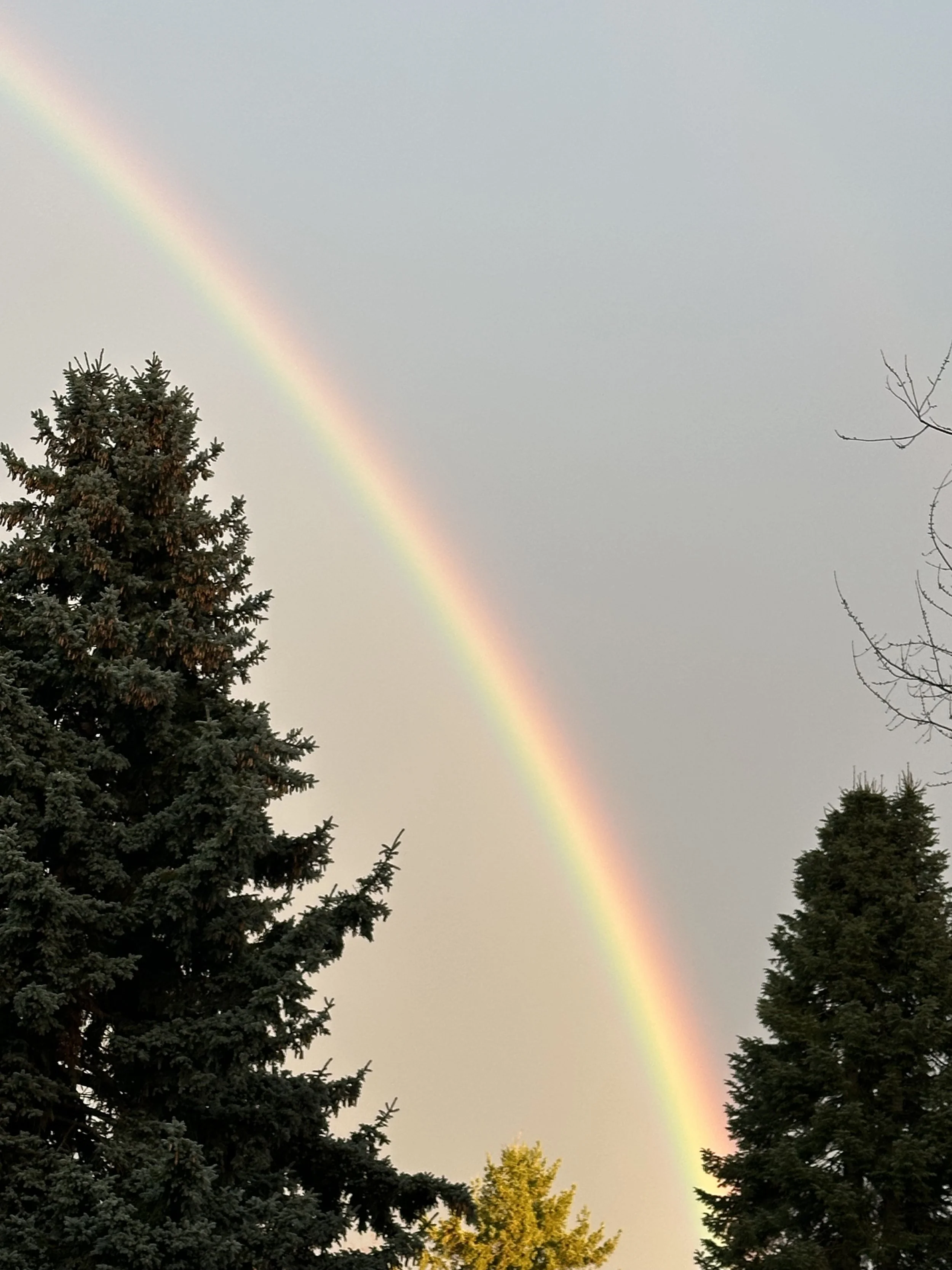 Person-Centered Coaching Session