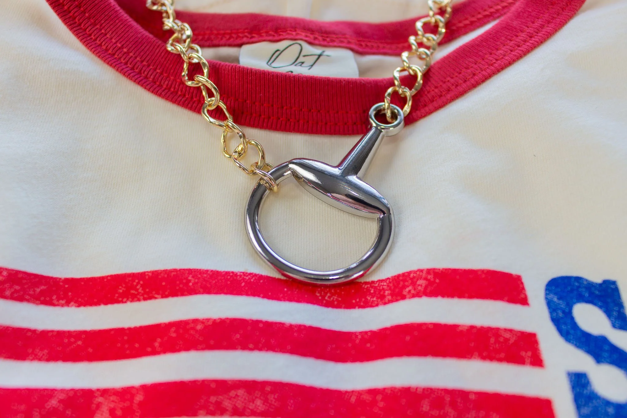stainless_steel_snaffle_bit_necklace_4.jpg