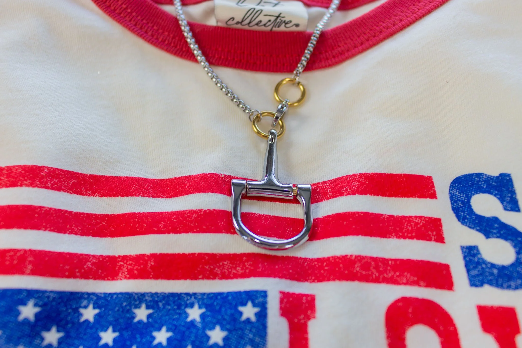 stainless_steel_box_chain_snaffle_bit_equestrian_necklace_3.jpg