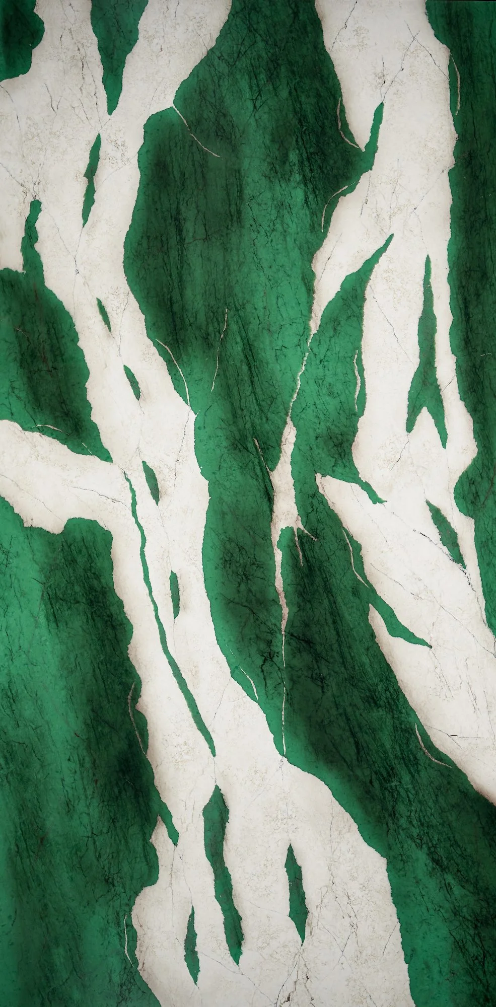 Close-up of a weathered surface with irregular green shapes and cracks.