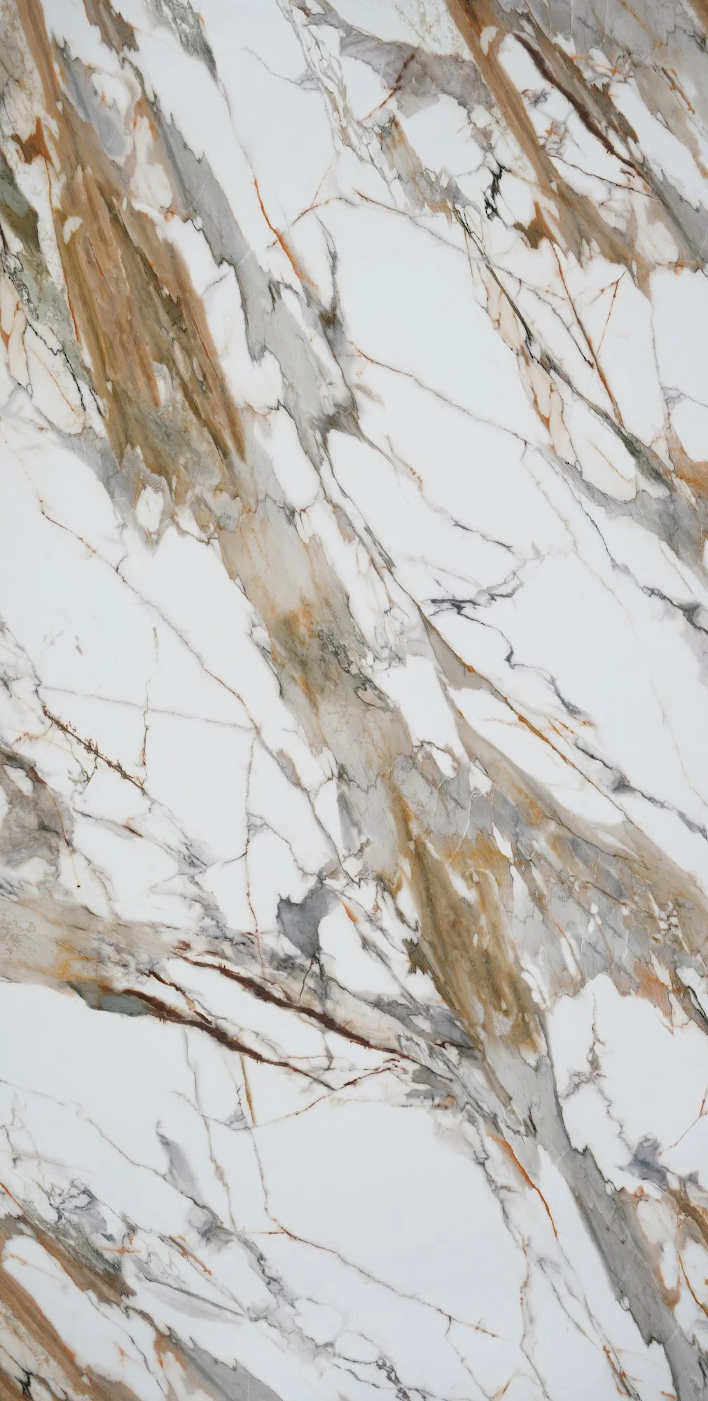Close-up of a marble surface with white, gray, and brown veins.