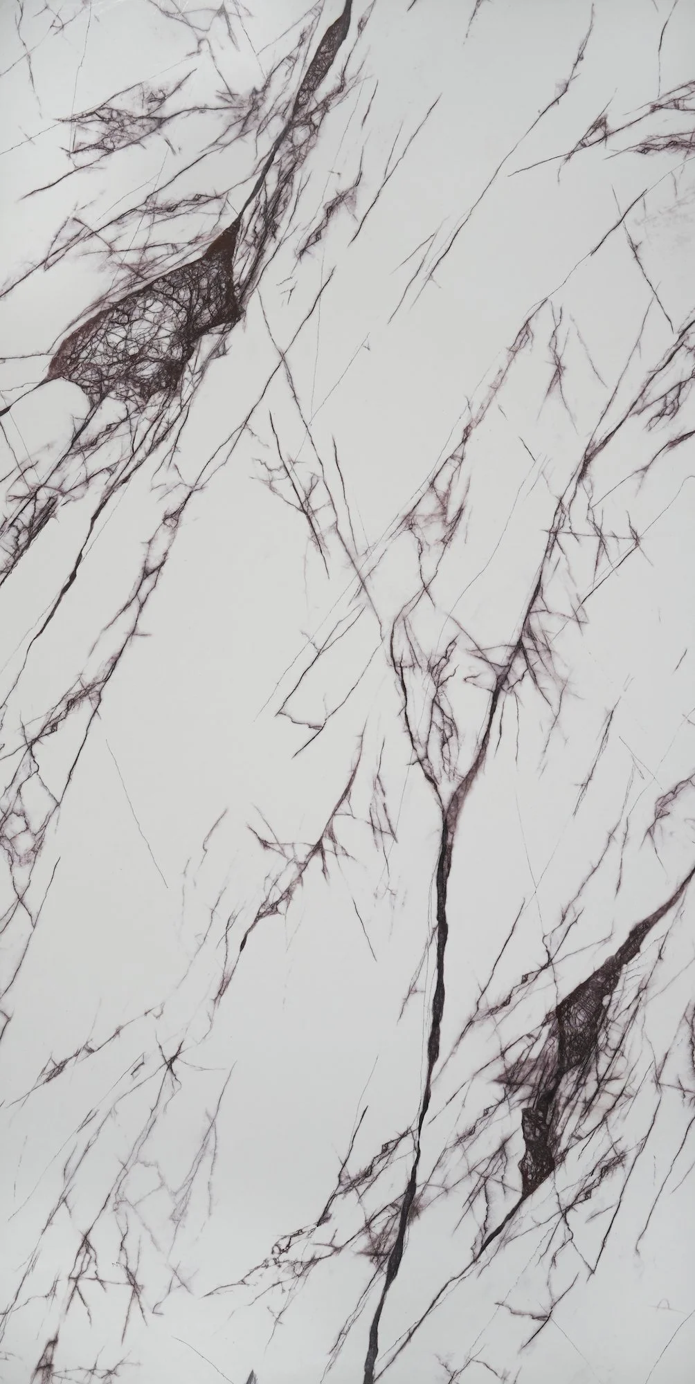 Close-up image of a white marble surface with dark veining and intricate patterns.