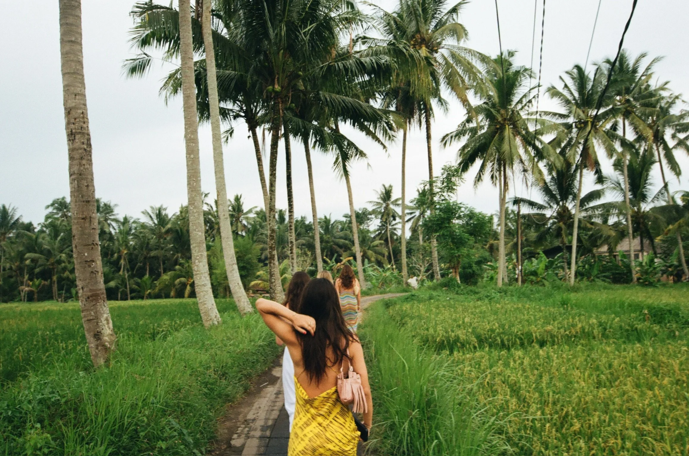 Several women walking along a narrow dirt path in a lush green field with tall palm trees in a tropical setting during daytime.