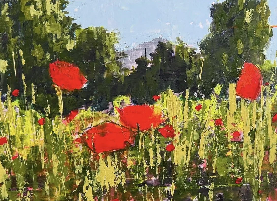 Poppies in Spring