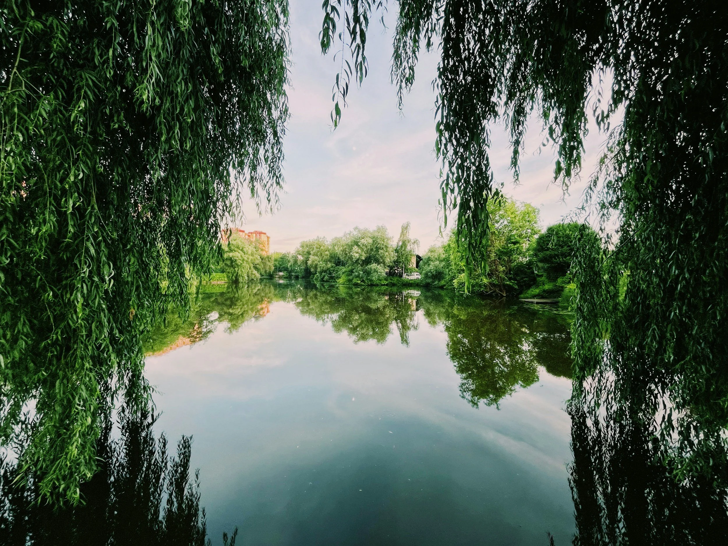 A calm river surrounded by green trees, with willow branches hanging over the water and a cloudy sky above.