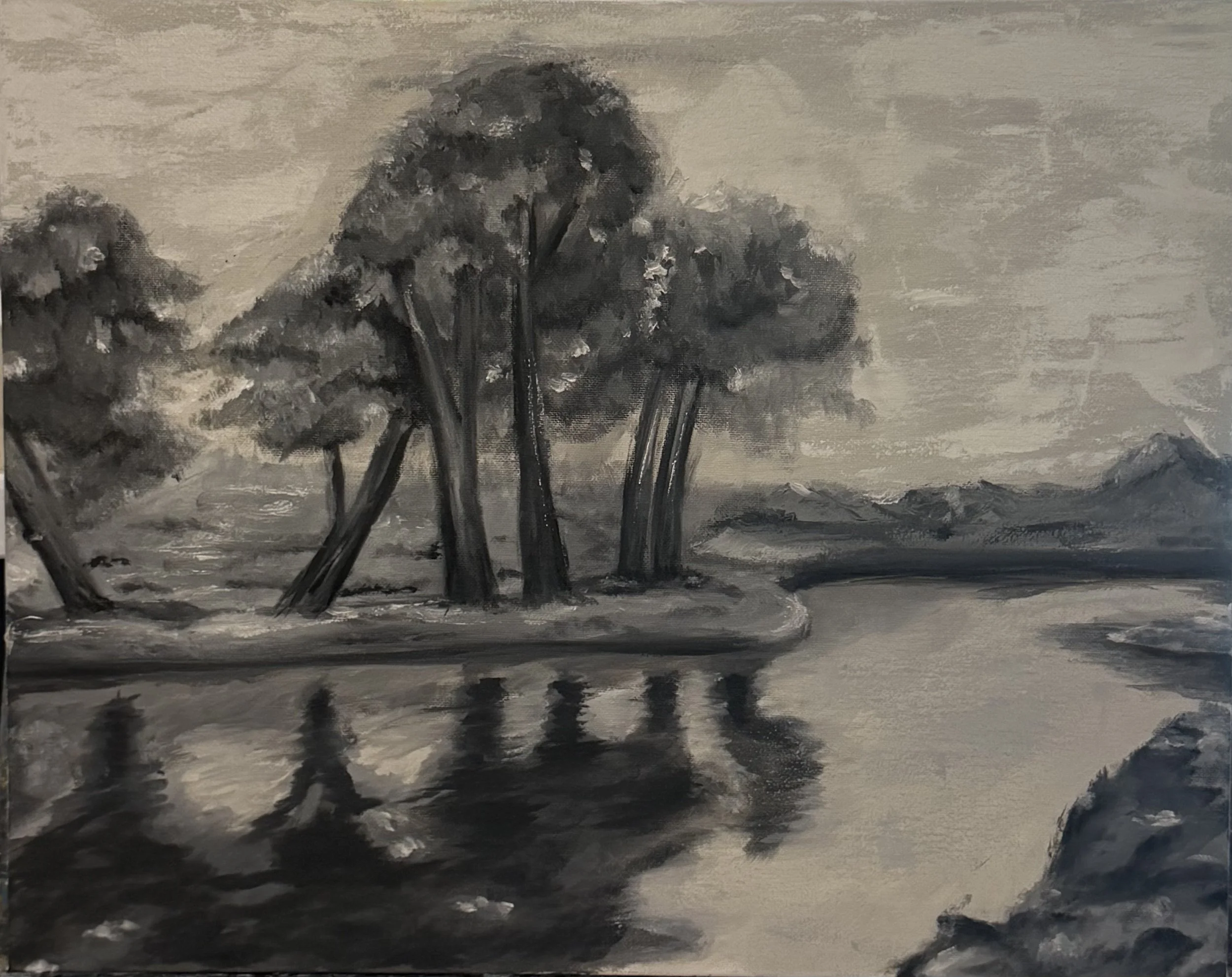 Landscape B&W
Oil on Canvas 16x20