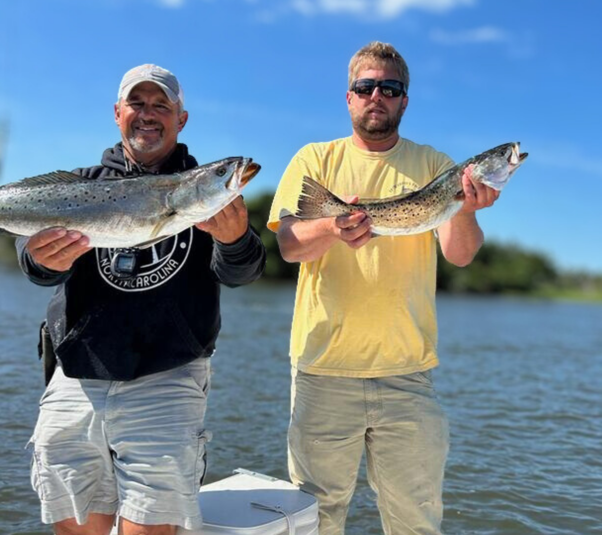 chasing the tide - sea trout fish