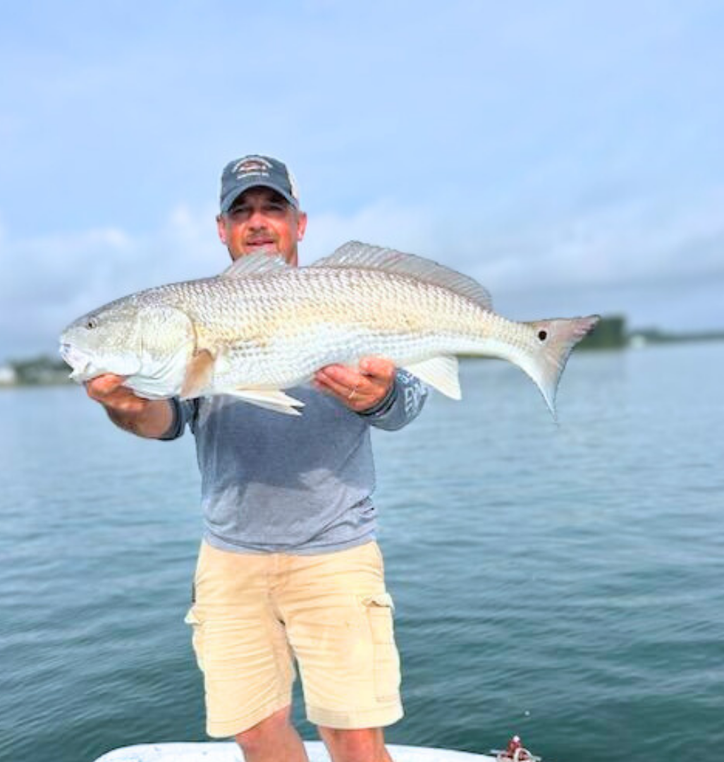 chasing the tide - red drum fish