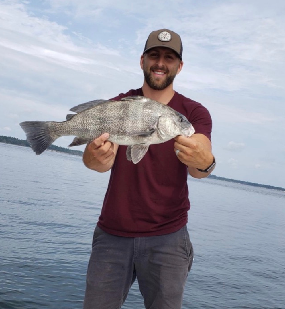Chase the tide - black drum fish