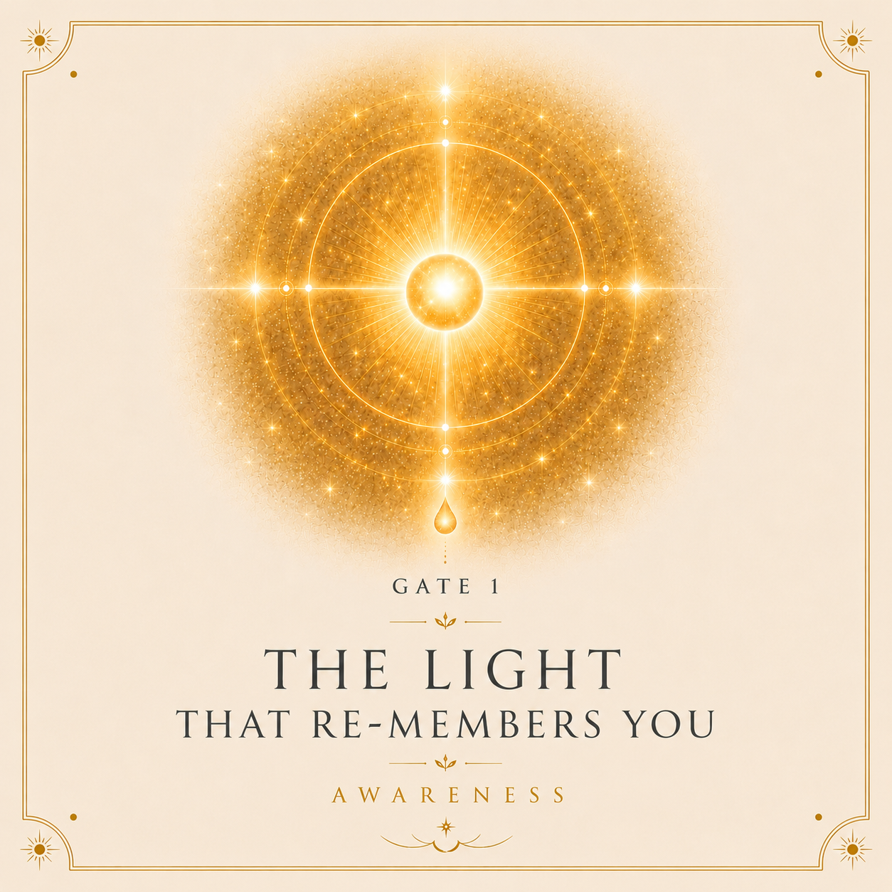 The Light That Re-Members You
