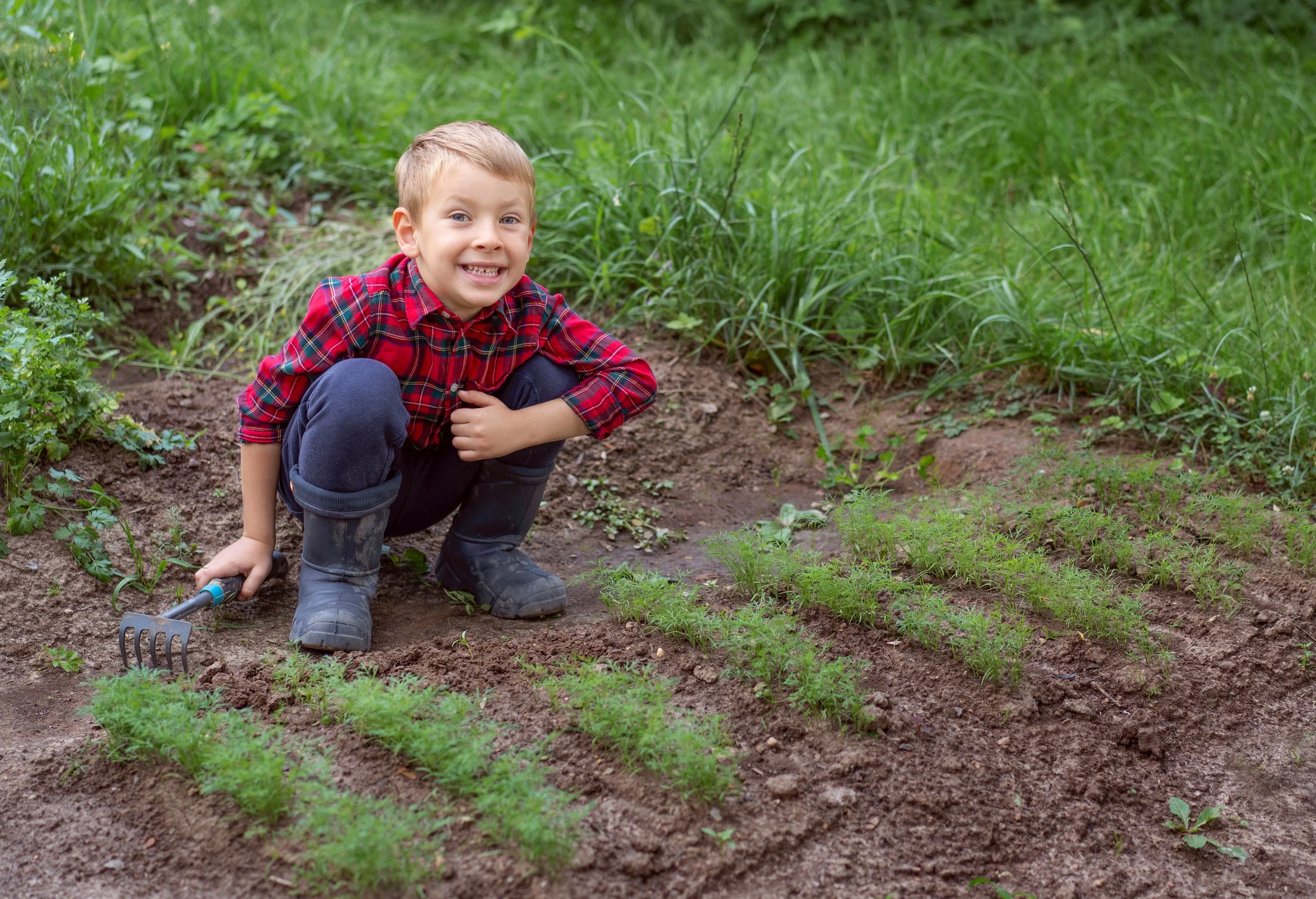 little boy in garden.jpeg