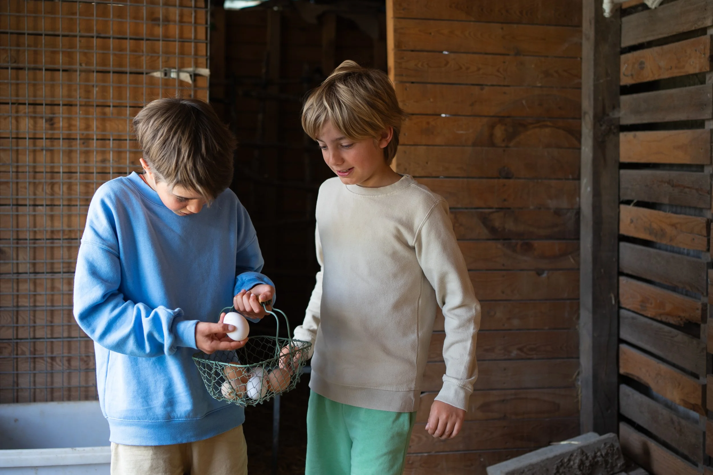 Farm to table gathering eggs.jpeg