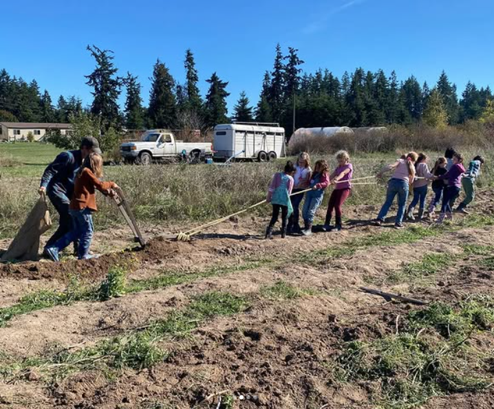plough days copy.png