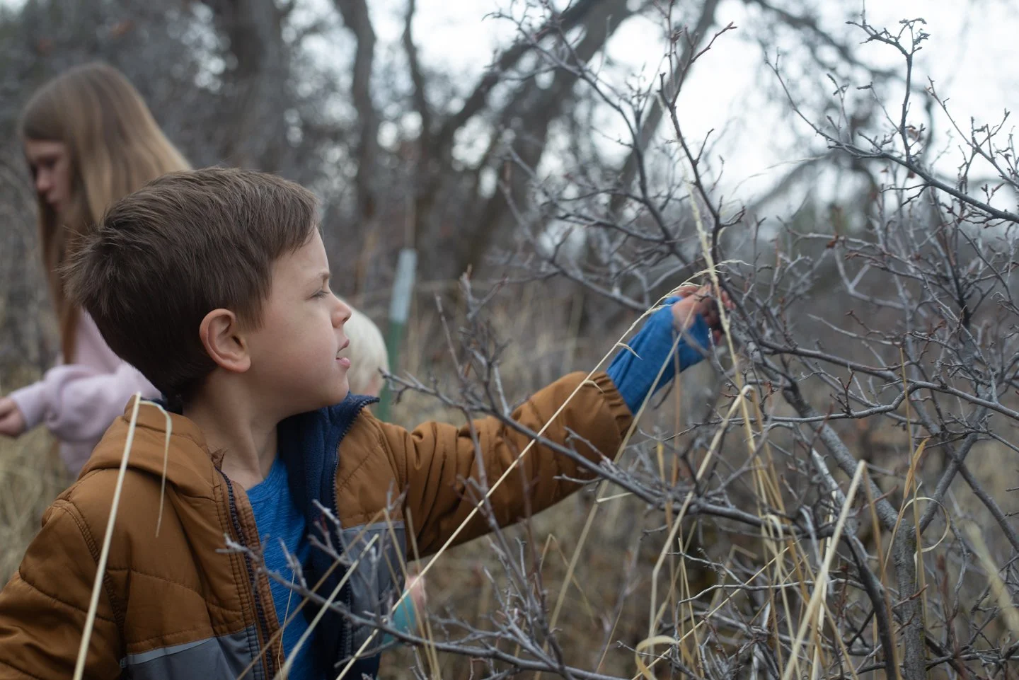 A Hybrid Approach: Stability Meets Community at Rooted Meadows