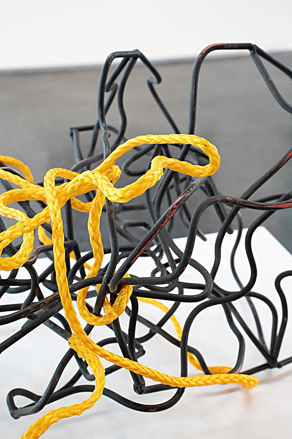 A Permanent Glimpse_photo by Mark Woods_2689.jpg