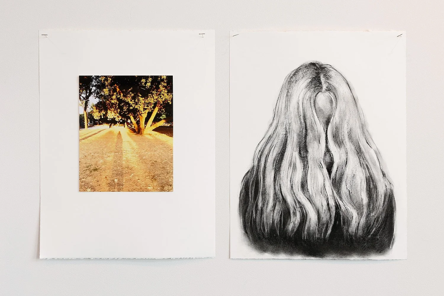 Hidden Beauty_photo by Mark Woods_6999.jpg