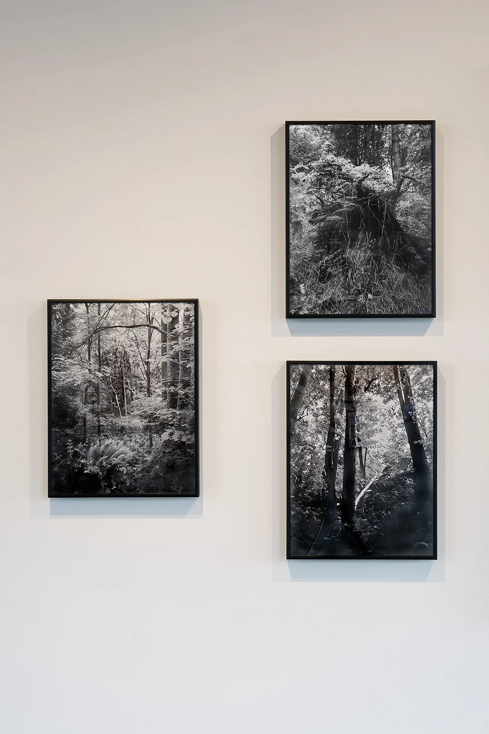 FF24_photo by Mark Woods_8214.jpg