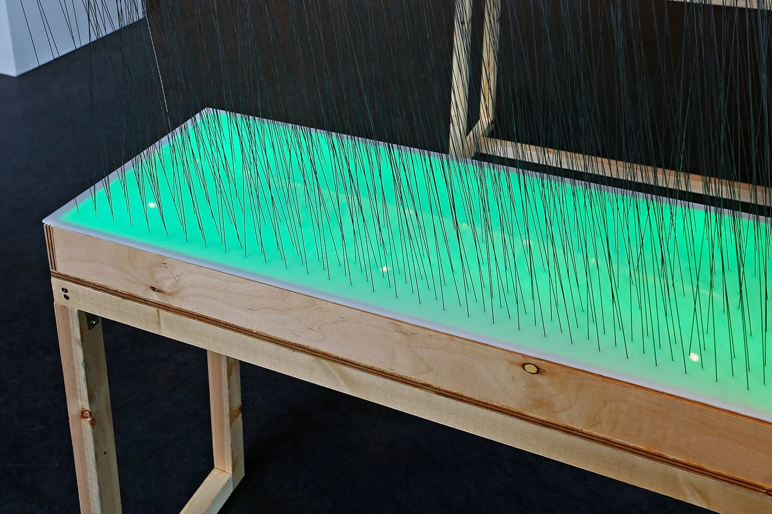 FF23_photo by Mark Woods_4062.jpg