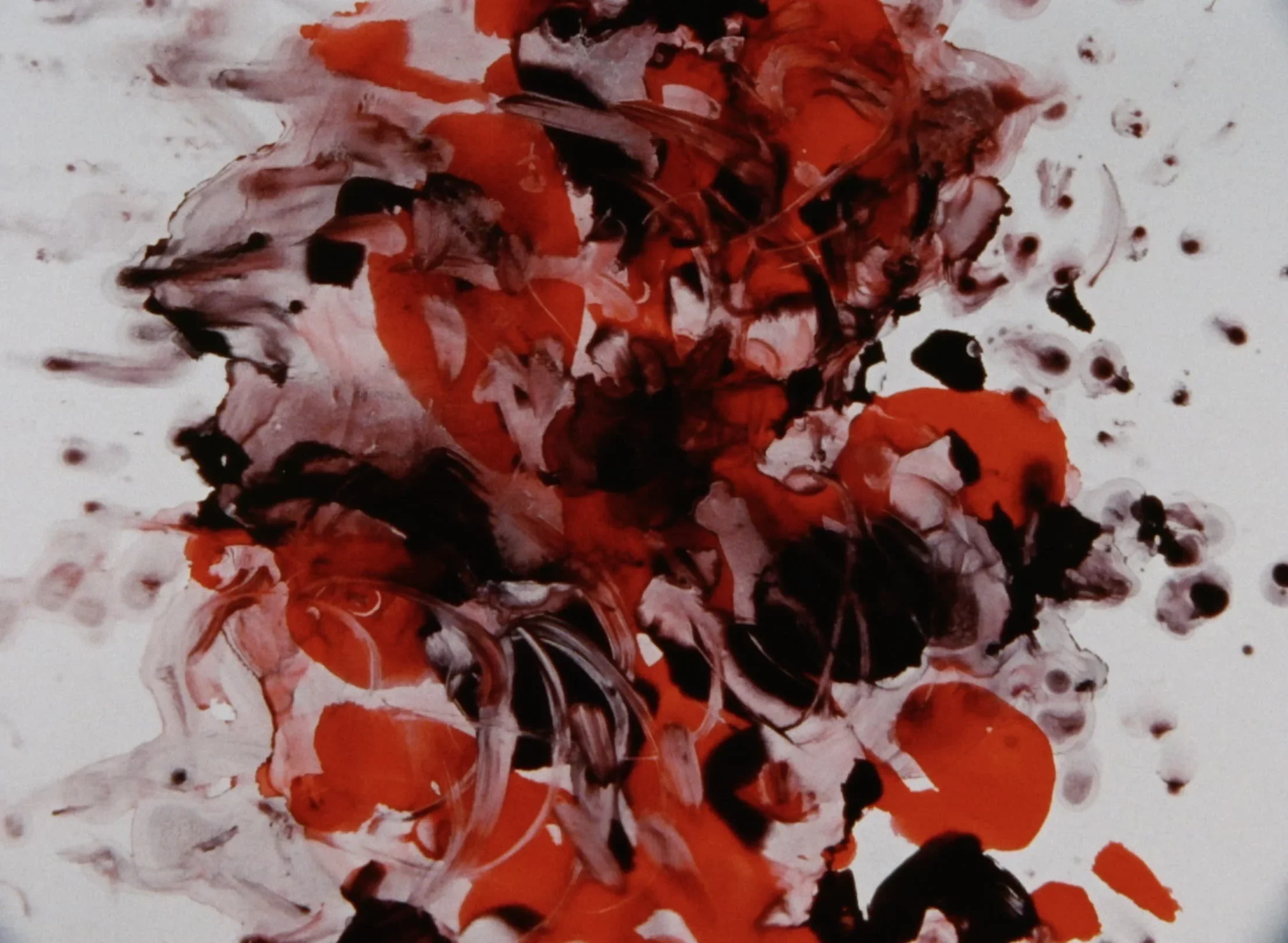 OnSite: Nobuhiro Aihara: Third Eye Animation