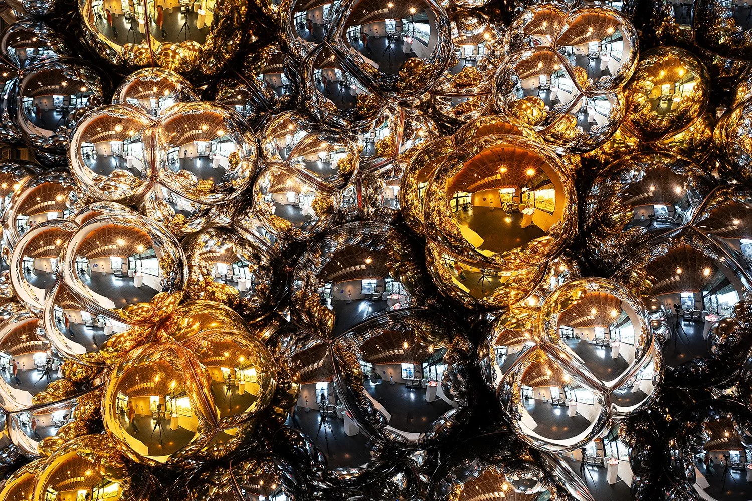 Bound_photo by Mark Woods_0260.jpg