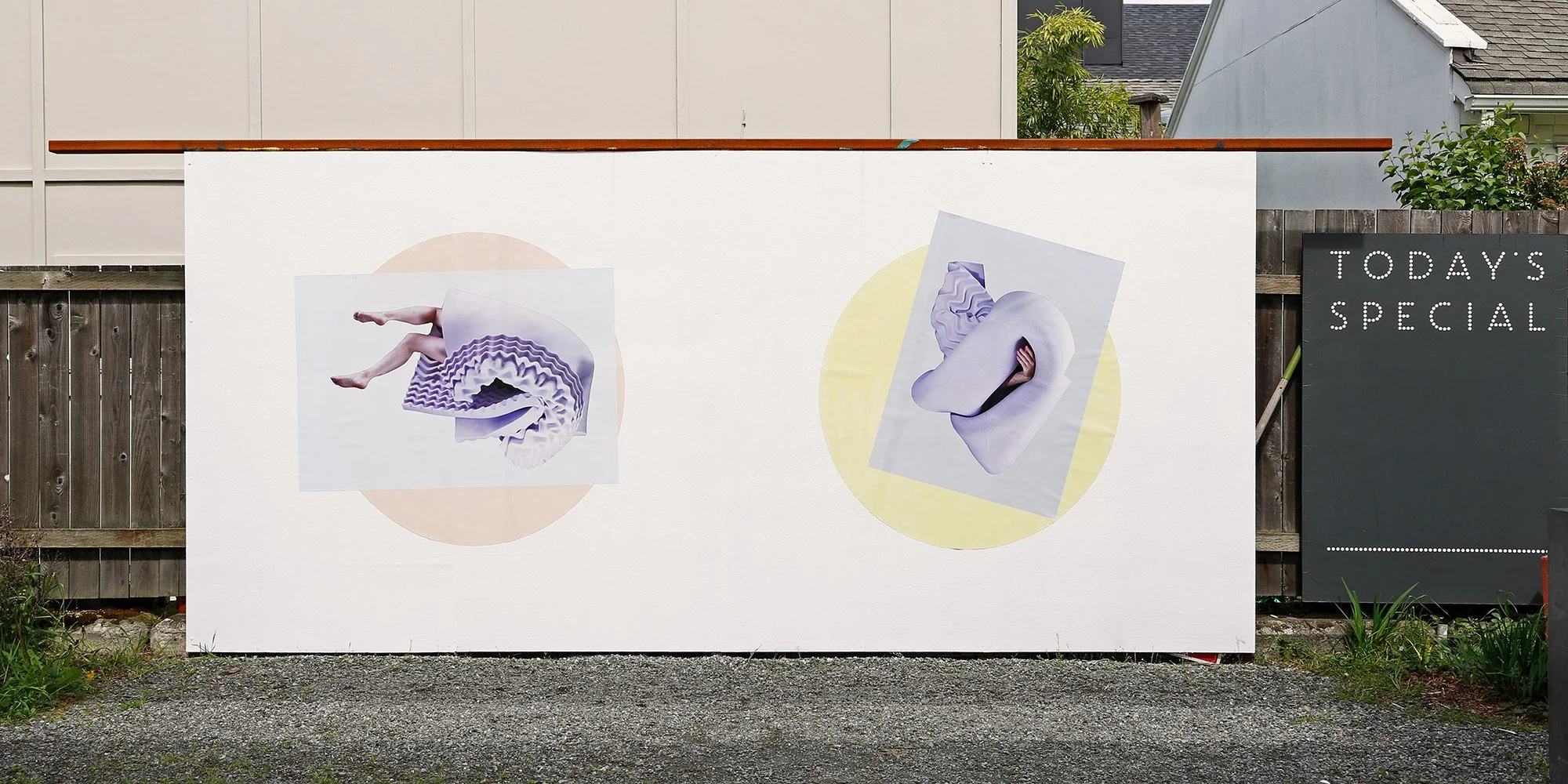 Murals_Anna Mlasowsky_2024.jpg