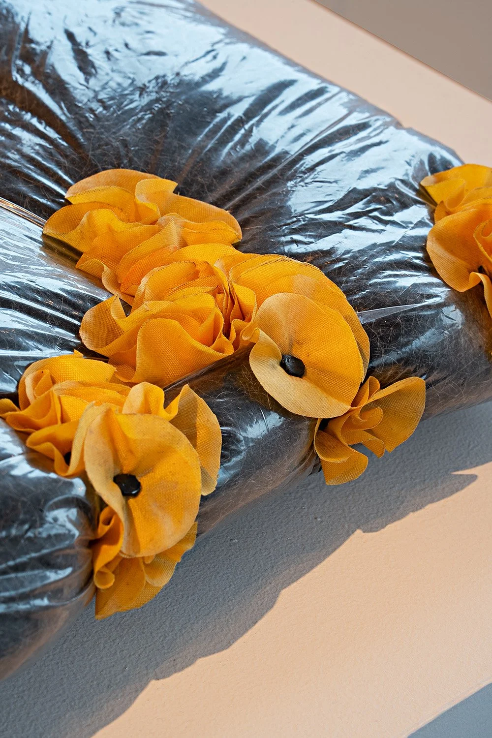 FF25_photo by Mark Woods_0773.jpg