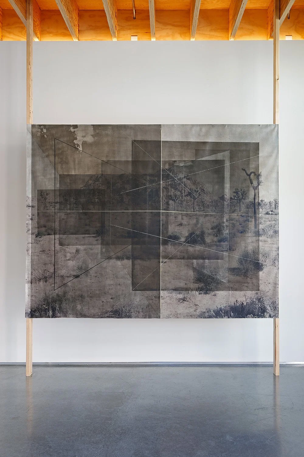 New Land_photo by Mark Woods_6491.jpg