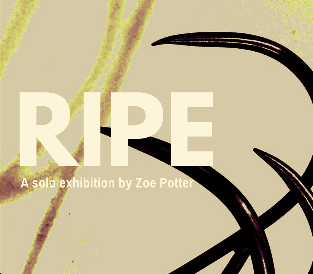 RIPE Opening Reception