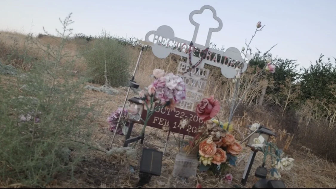 Stafford_IMG_8722 (1).jpeg