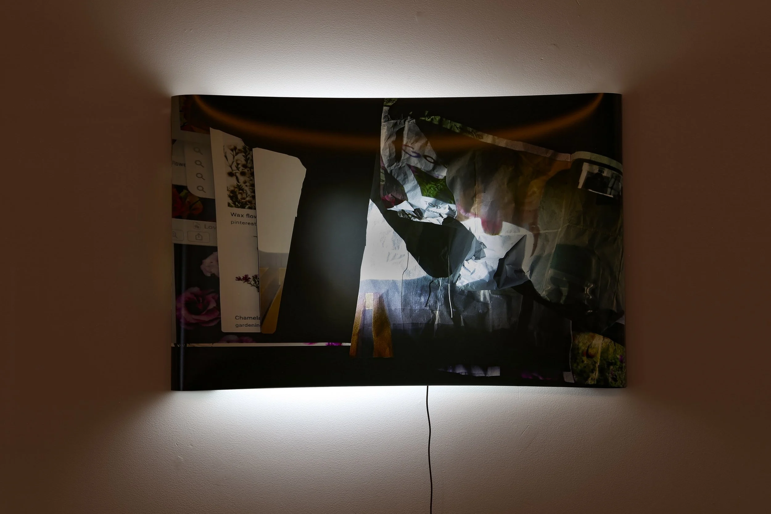 Image Immaterial_photos by Mark Woods_5462.jpeg