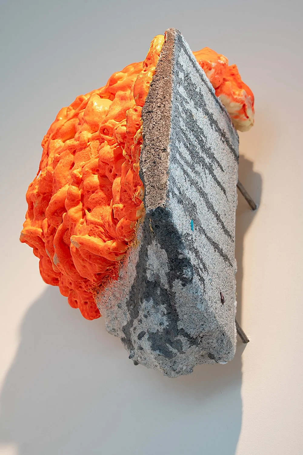 A Permanent Glimpse_photo by Mark Woods_2676.jpg