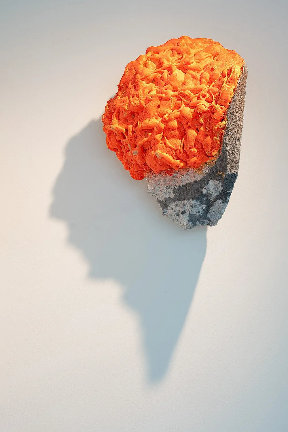 A Permanent Glimpse_photo by Mark Woods_2675.jpg