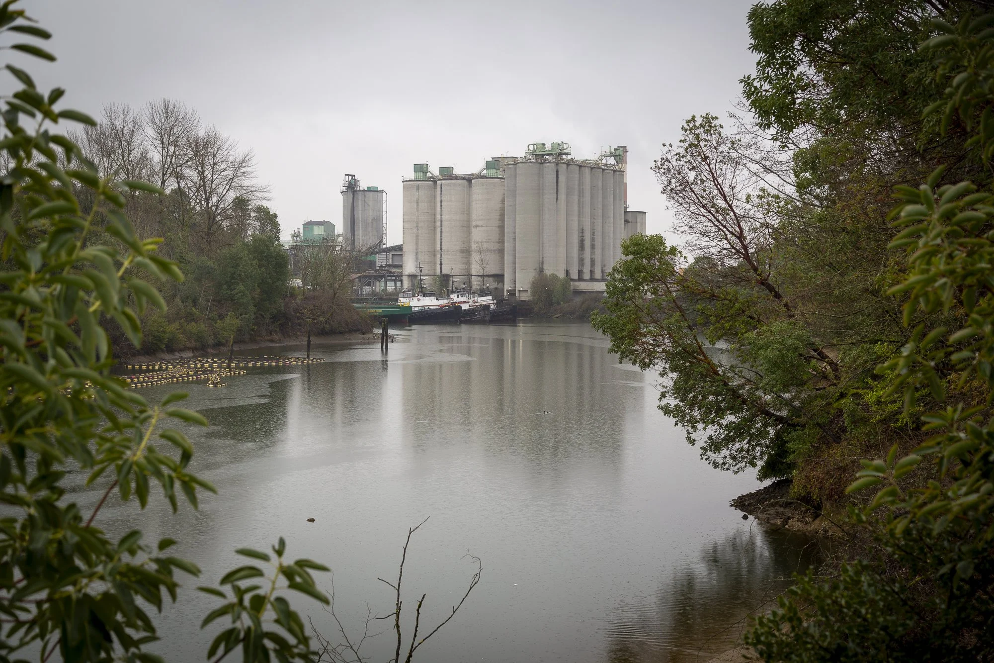 Urban Waters Timothy Whiteeagle_-15 (1).jpg