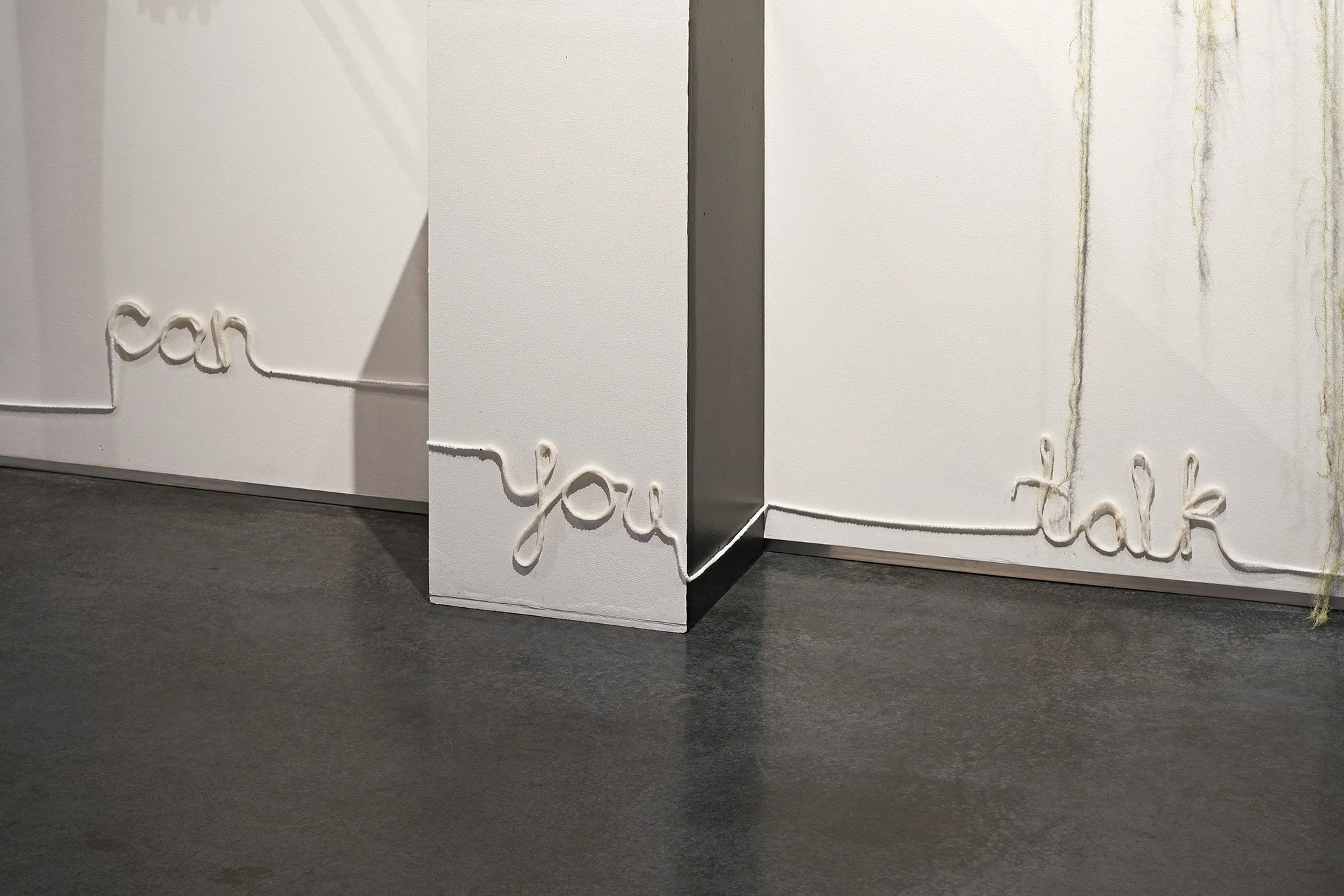 "texts from mom series" by Nadia Ahmed