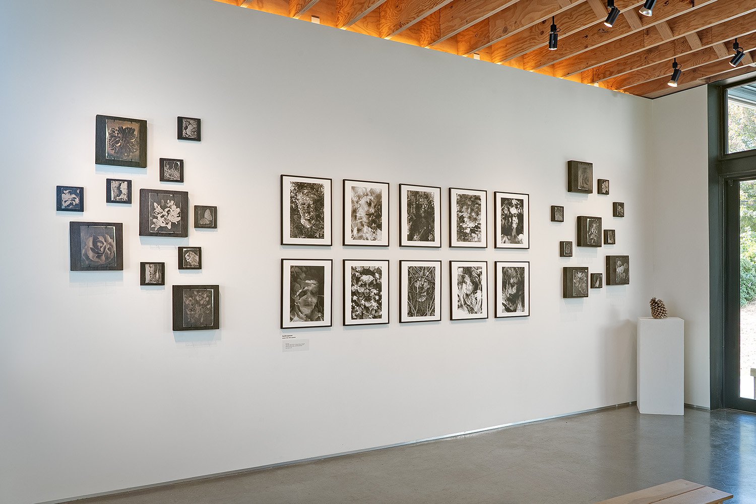 During the Exposure_Mark Woods_5430.jpg