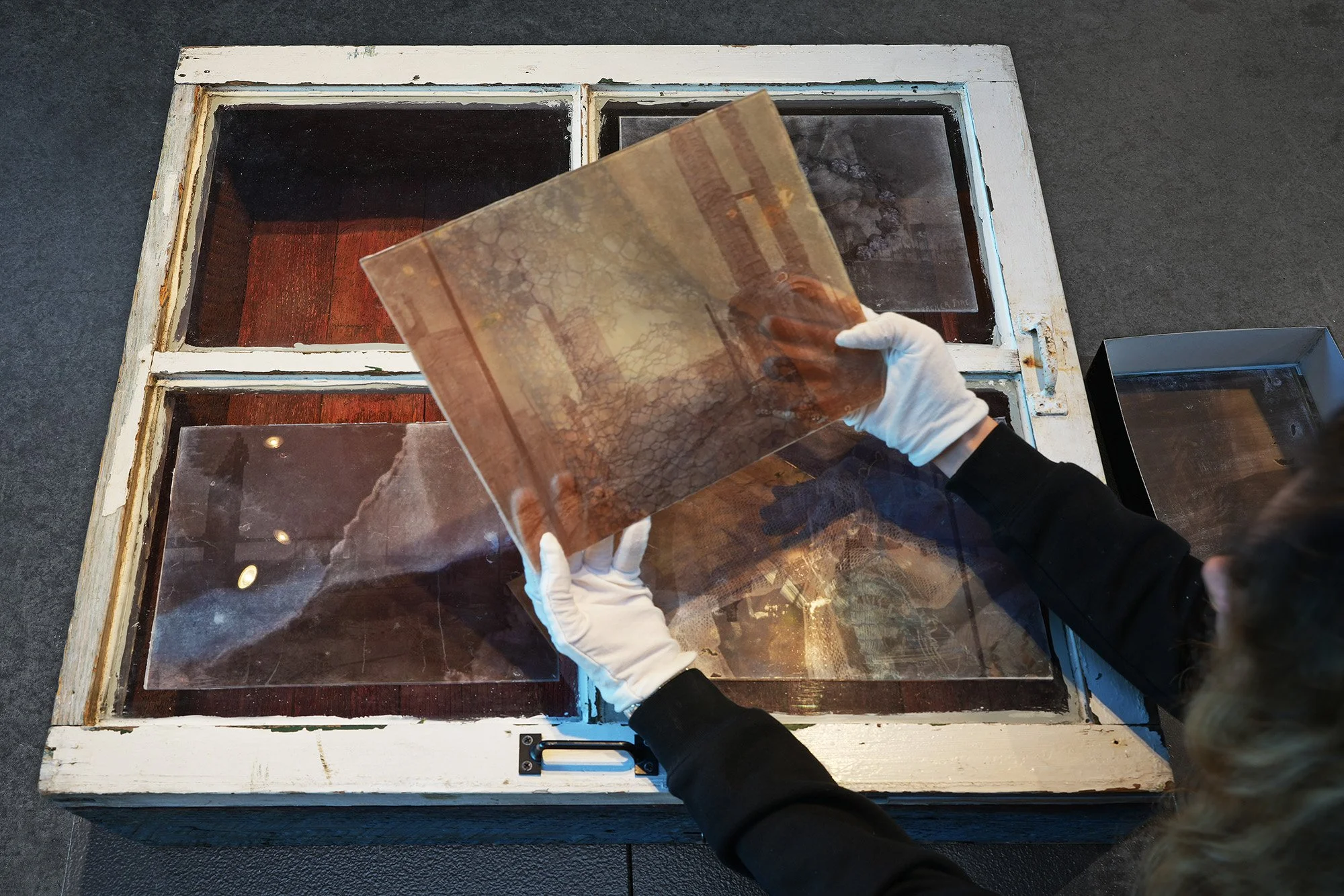 "Book Four" by Lillie Walsh