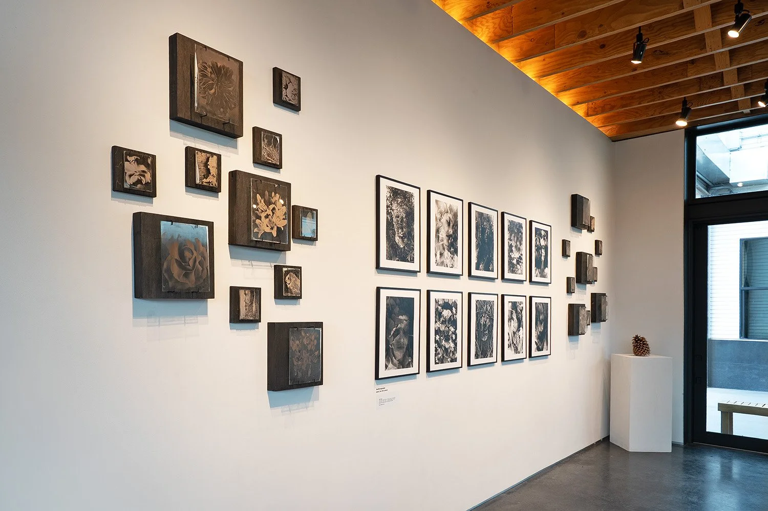 During the Exposure_Mark Woods_5379.jpg