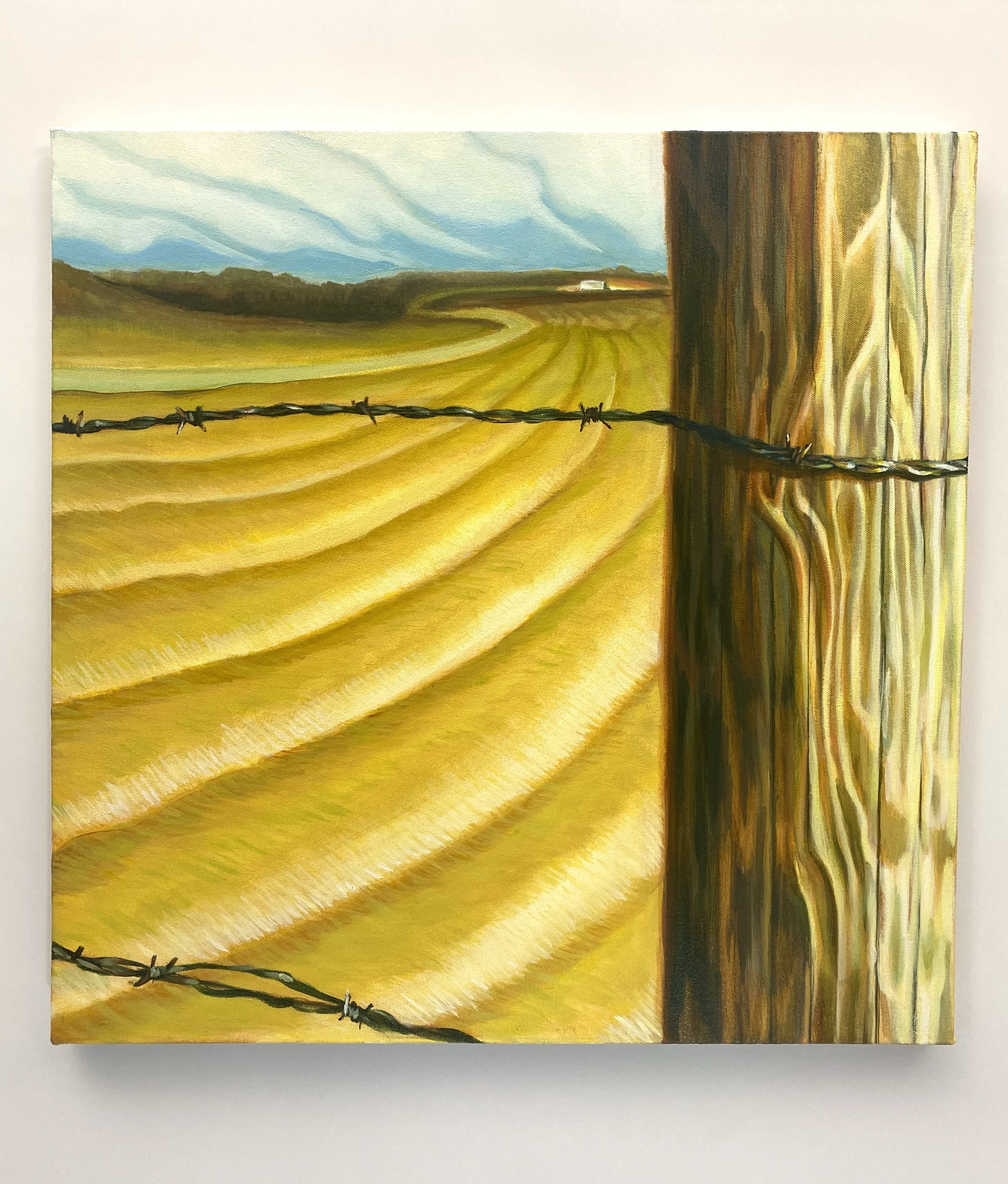 Grains / 20 x 20in / Oil on canvas