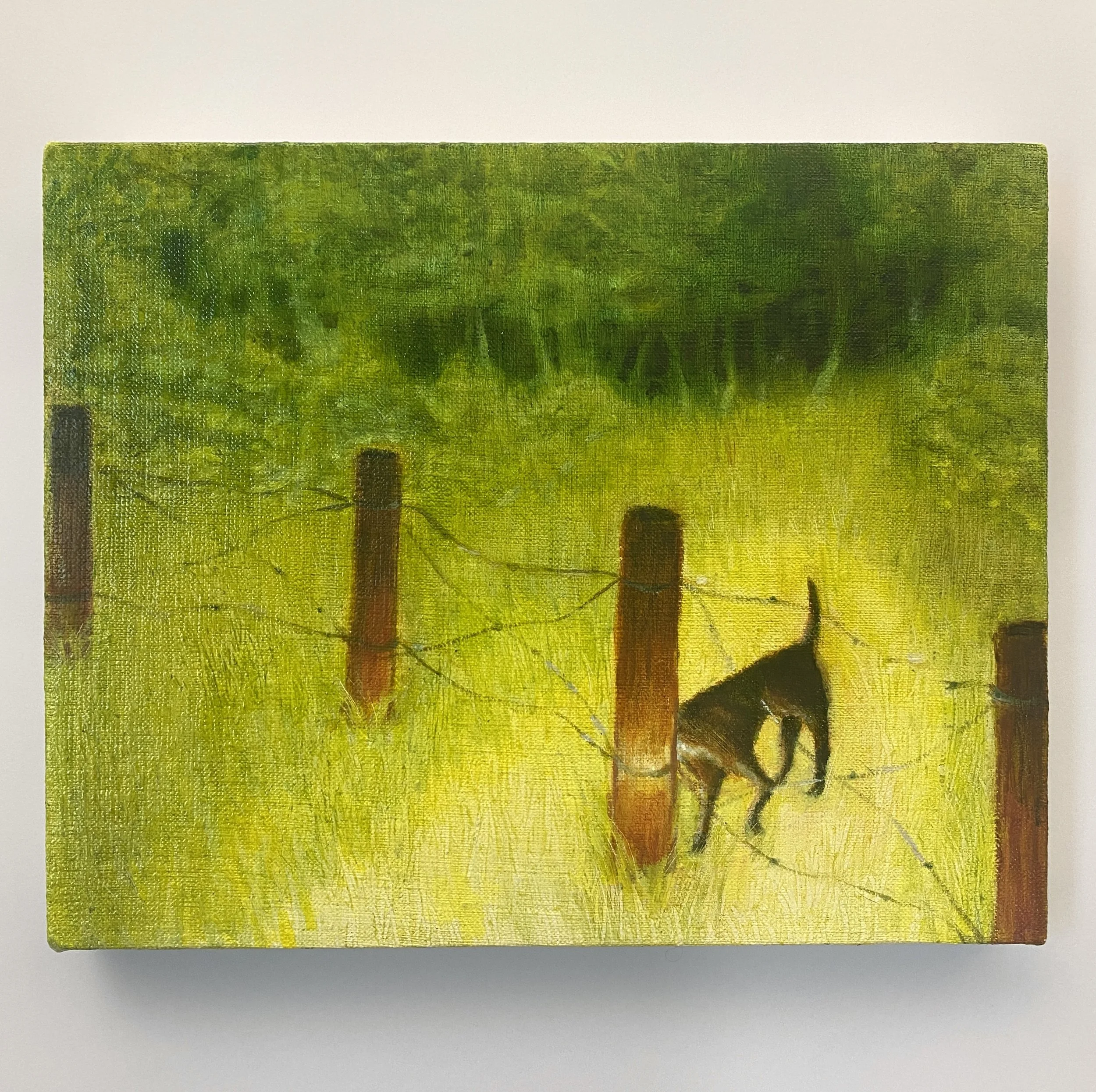 Dog Days / 8in x 10in / 20.32 x 25.4cm / Oil on canvas
